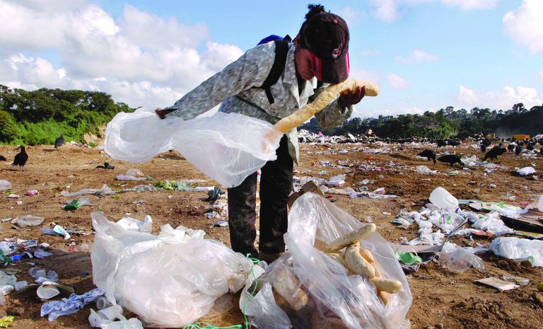 Unas 42 millones de personas mal alimentados en América Latina