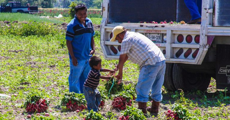 Somos el Segundo país de América Latina con mayor trabajo infantil