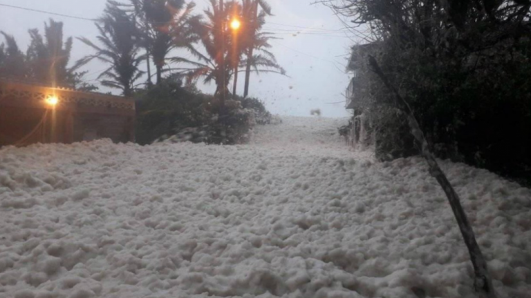 Espuma marina fue por “licuado” de materia orgánica académicos