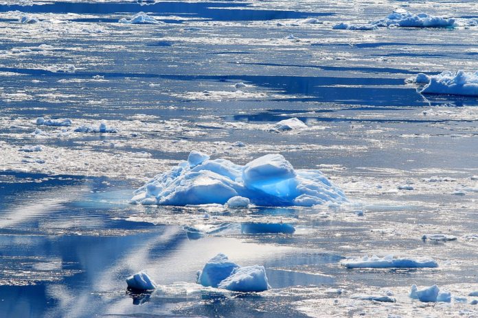 Cambio climático impide recuperación del hielo marino del Ártico