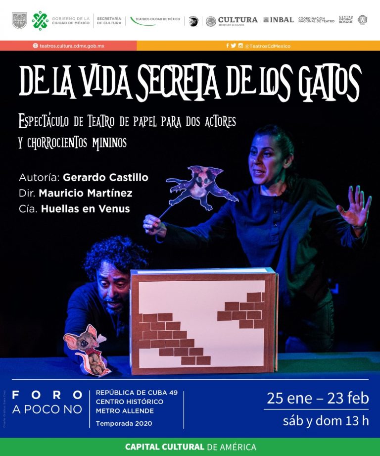 De la vida secreta de los gatos, espectáculo de teatro de papel para dos actores y chorrocientos mininos