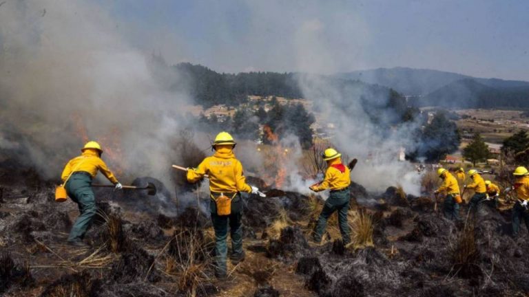 Registran 29 incendios forestales activos y ocho apagados