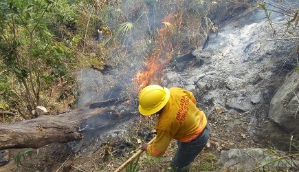 Arden 5.7 mil hectáreas en 50 incendios forestales activos