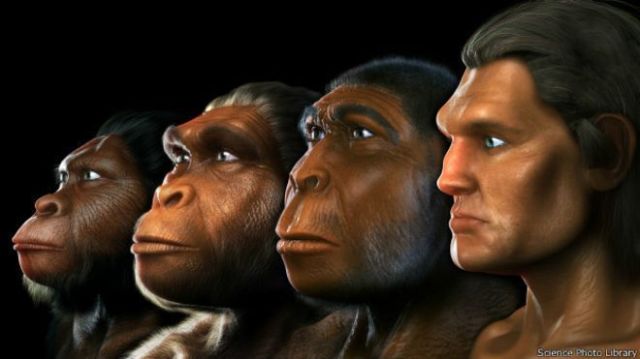 Según un estudio, la evolución hizo a los seres humanos tomar decisiones irracionales