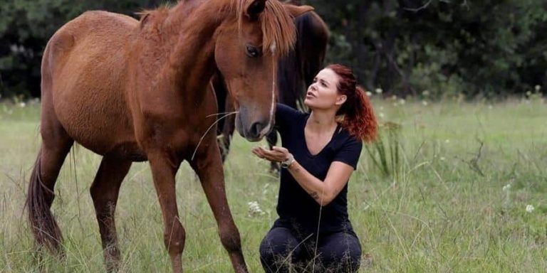 Cuacolandia, el refugio para caballos tras una vida de maltrato