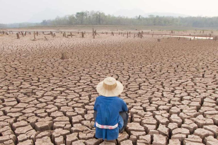 Cuáles serán los efectos futuros del cambio climático en las migraciones