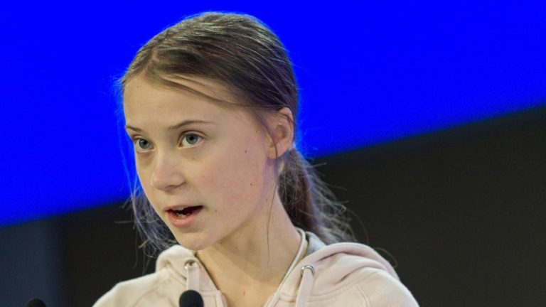 Thunberg dona 500.000 euros de premio Gulbenkian a organizaciones ambientales