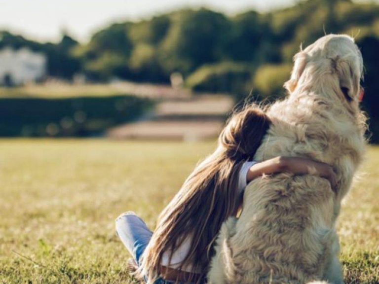 Pérdida de una mascota puede desencadenar problemas emocionales en niños