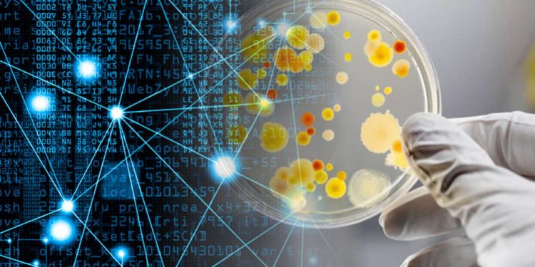 Inteligencia artificial podría ayudar a descubrir nuevos antibióticos