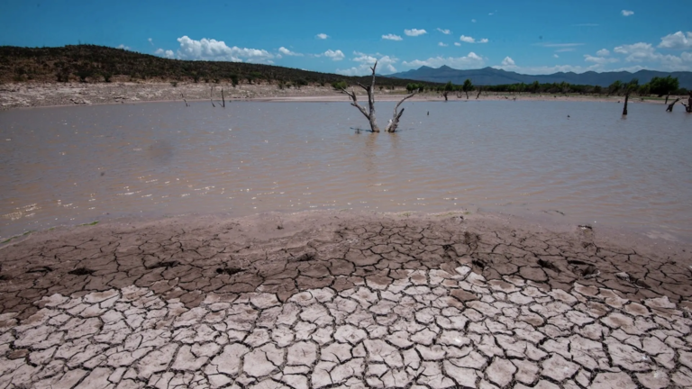 Conagua declara emergencia por sequía “severa o extrema”