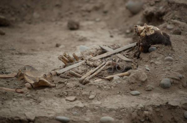 Una cruz colonial y un enigma arqueológico en el mayor zoológico de Perú