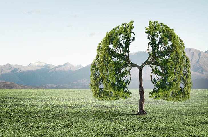 Cambio climático, impacto directo en enfermedad pulmonar